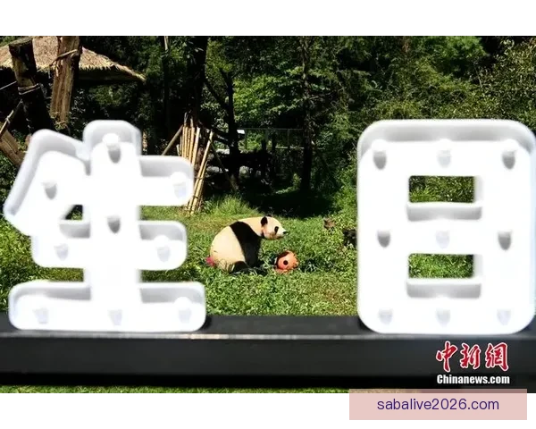 沙巴体育官网助力体育赛事发展 打造全新在线娱乐平台