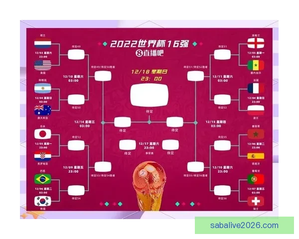 2026世界杯参赛队伍全解析各大洲球队争夺战一览