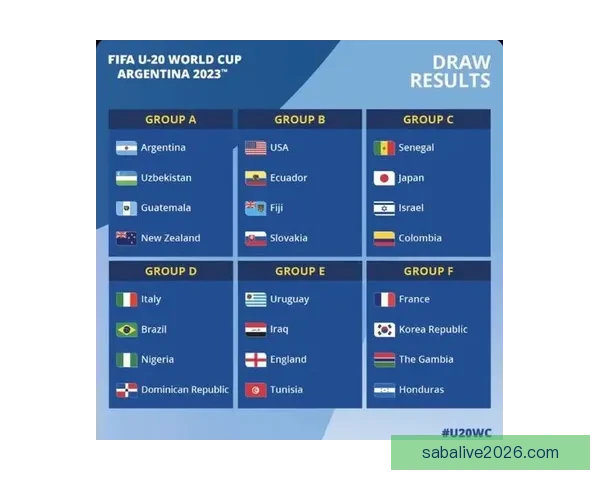 2026世界杯冠军争夺战深度解析与夺冠关键因素探讨