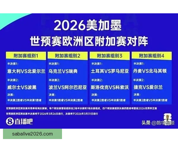 2026世界杯冠军争夺战深度解析与夺冠关键因素探讨
